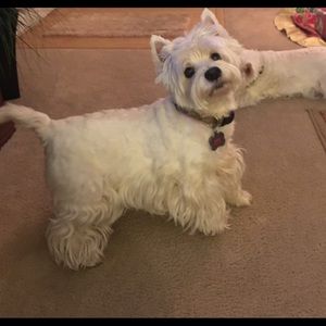 Meet your Posher, Barbara